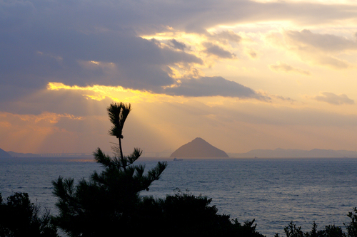 a0800_001160_m.jpg
