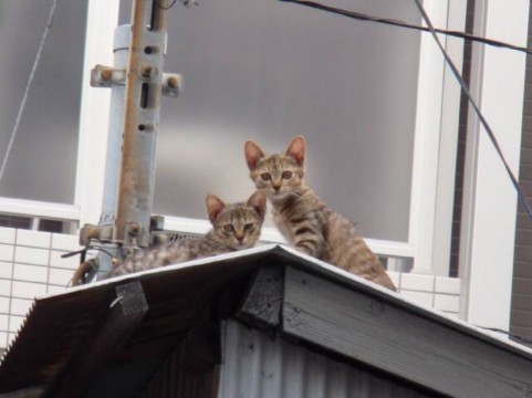a1620_000058.jpg